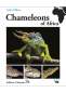 Preview: Chameleons of Africa